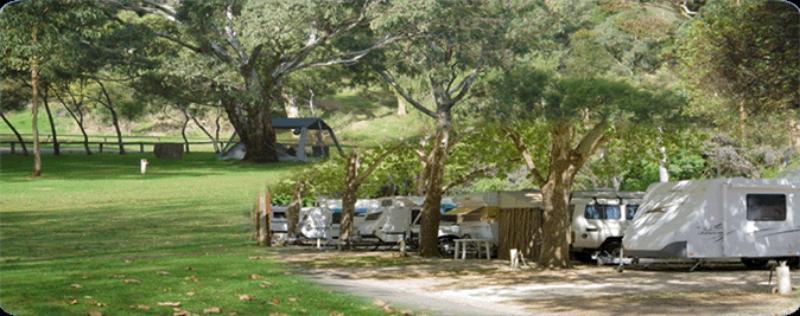 Adelaide Brownhill Creek Tourist Park Hotel Eksteriør billede